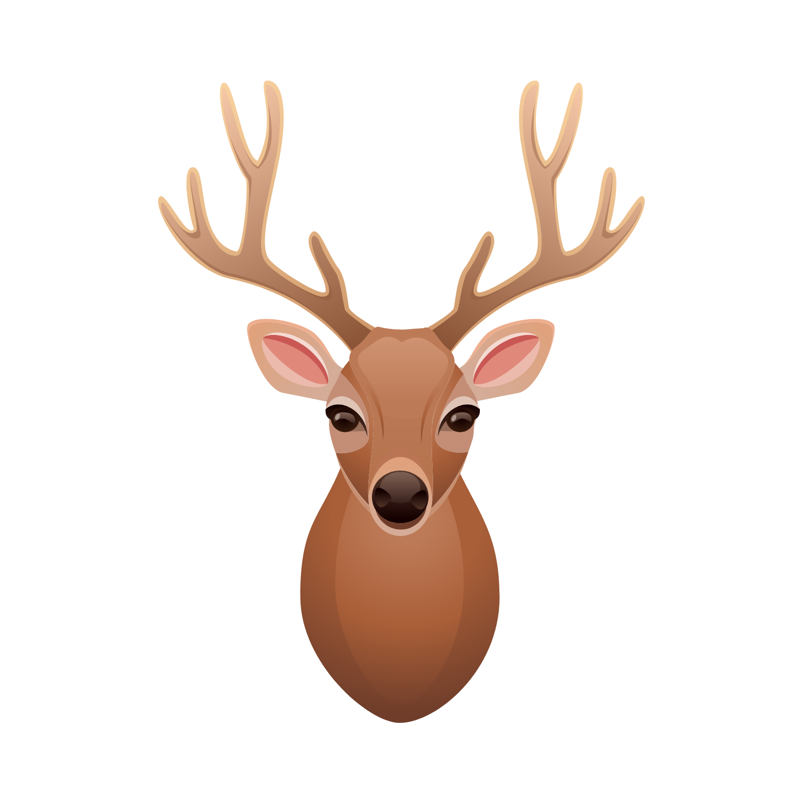 Hirsch Hirsch