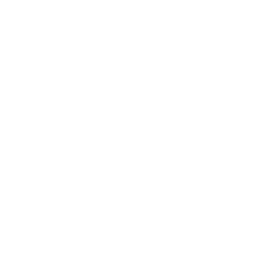 precision precision
